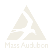 Team Mass Audubon Climate Action's avatar