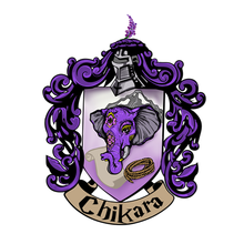 Team Chikara's avatar