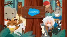 Team Salesforce Global Professional Services Team's avatar