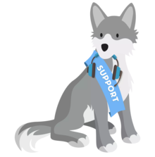 Team Salesforce CSG Support's avatar