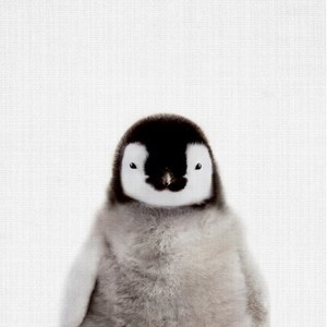 Penguin Isa's avatar
