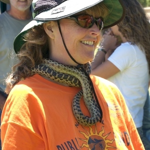 Suzanne Worcester's avatar